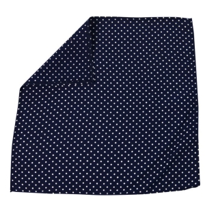 Em Men's Accessories poszetka granatowa w groszki.jpg