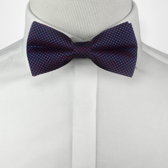 Mucha bordowo-fioletowa opalizująca