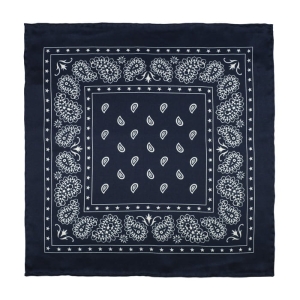 EM Men's Accessories poszetka jedwabna ciemny granat paisley gwiazdki.jpg
