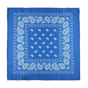 EM Men's Accessories jedwabna poszetka niebieska w paisley EM-1137090500659 (1).jpg