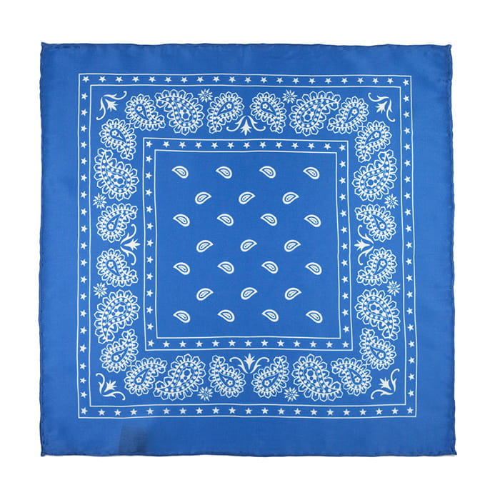 EM Men's Accessories jedwabna poszetka niebieska w paisley EM-1137090500659 (1).jpg