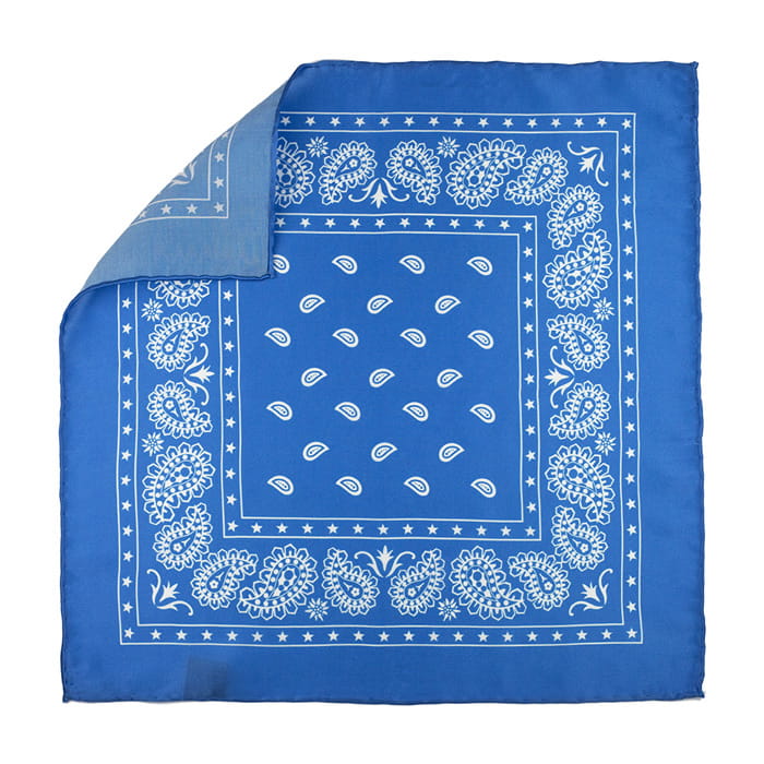 EM Men's Accessories jedwabna poszetka niebieska w paisley EM-1137090500659 (1).jpg