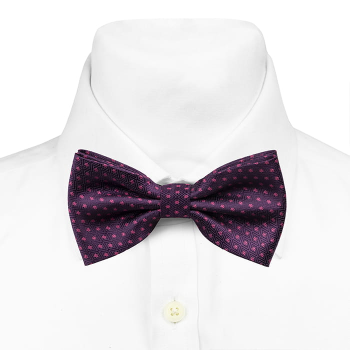 Mucha fioletowa w mikrowzór