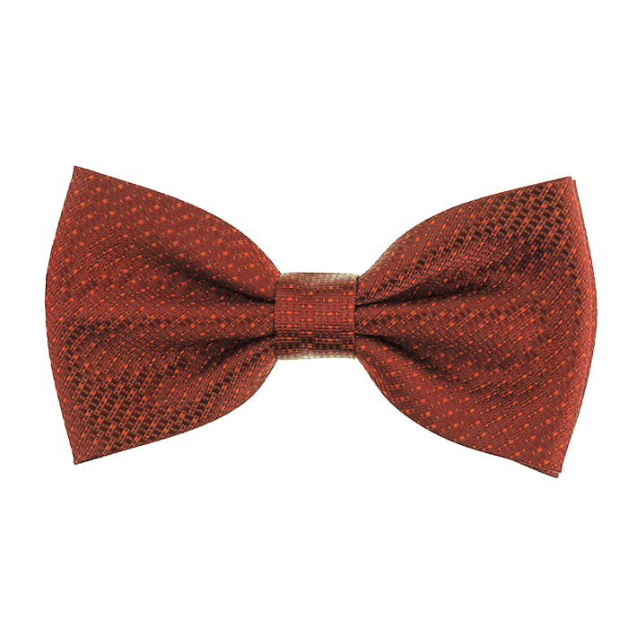 Mucha pomarańczowa w mikrowzór EM