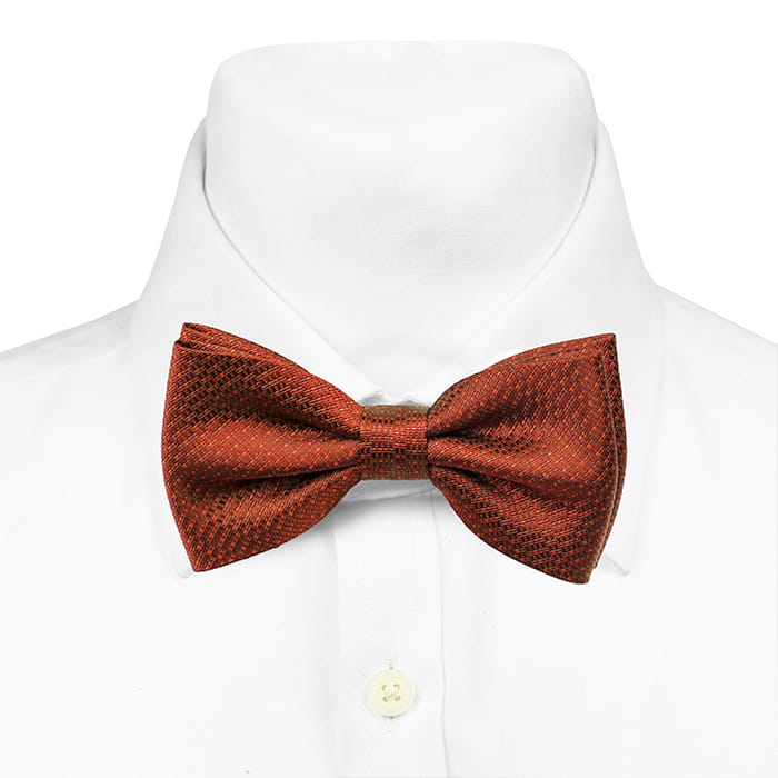 Mucha pomarańczowa w mikrowzór EM