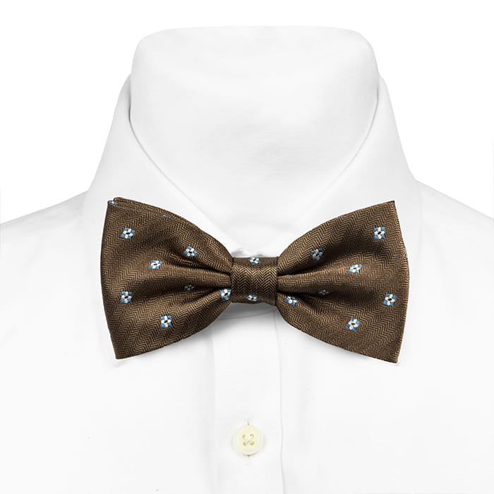 Mucha brązowa we wzory