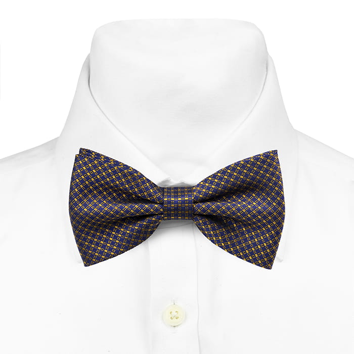 Mucha granatowo-żółta w mikrowzór