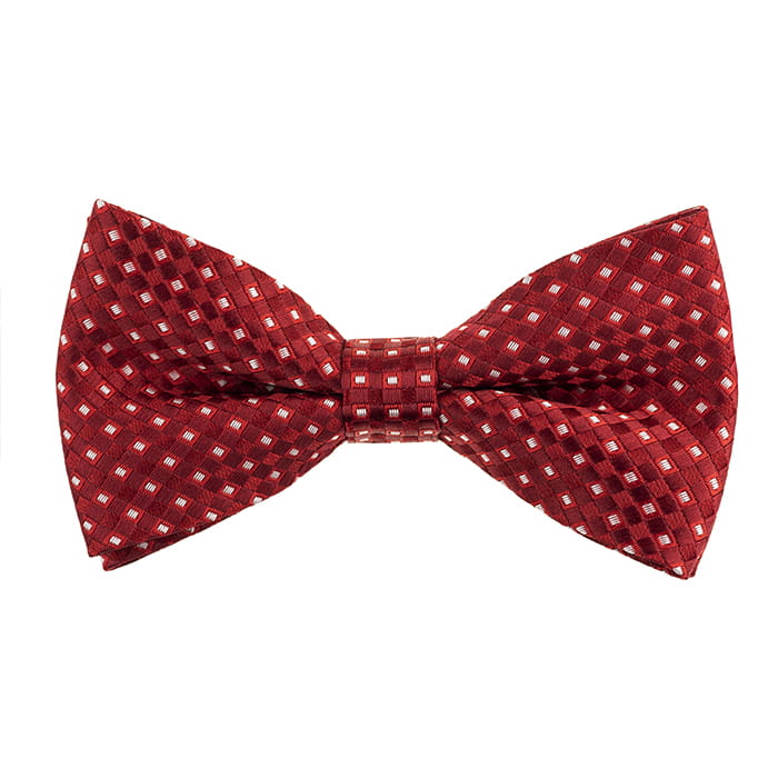 Mucha czerwona w kratę