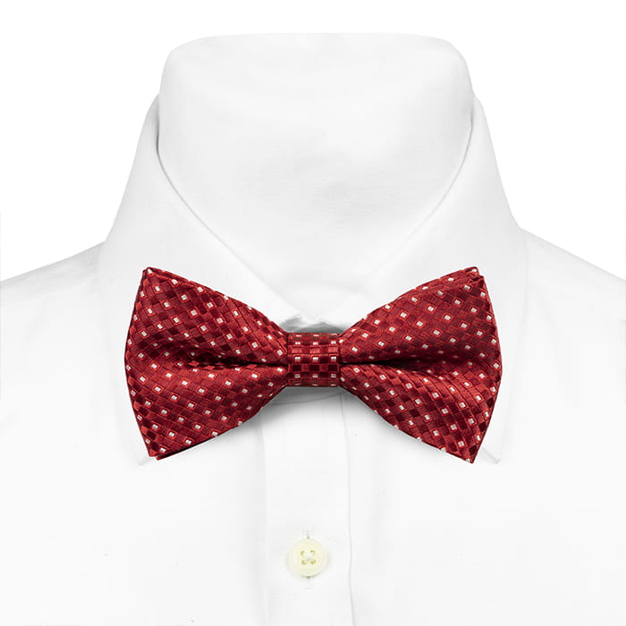 Mucha czerwona w kratę