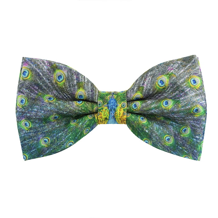 Mucha paw pawie pióra