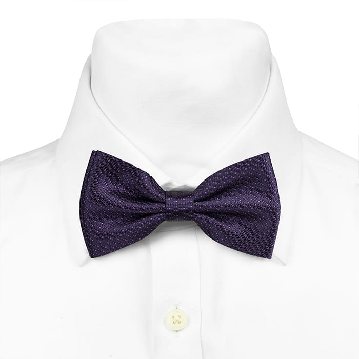 Mucha fioletowa w mikrowzór