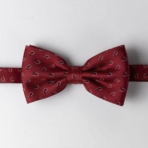 Mucha klasyczna bordowa w paisley