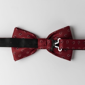 Mucha klasyczna bordowa w paisley