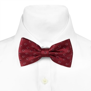 Mucha klasyczna bordowa w paisley