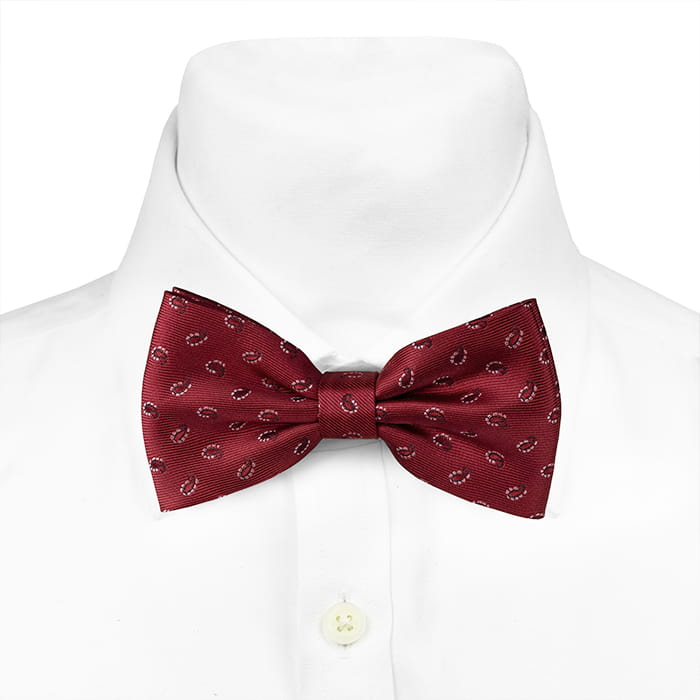 Mucha klasyczna bordowa w paisley