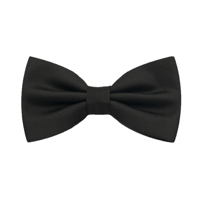 Mucha czarna gładka