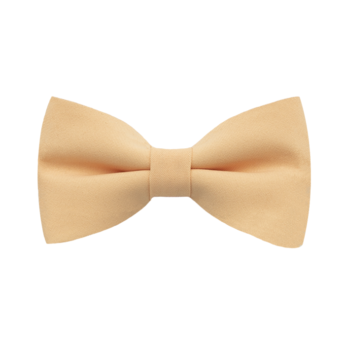 EM men's accessories mucha morelowa gładka