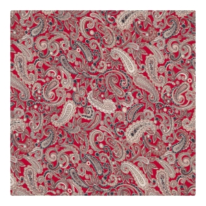 poszetka bawełniania em mens accessories paisley