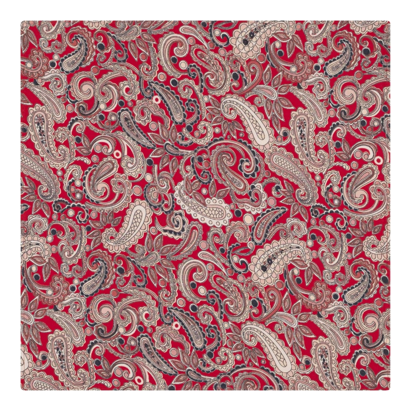 poszetka bawełniania em mens accessories paisley