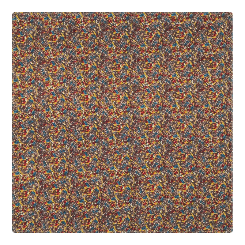 poszetka bawełniania em mens accessories paisley