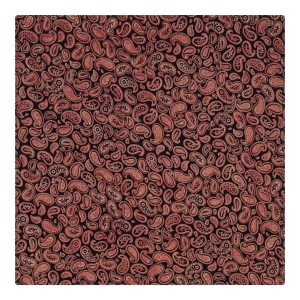 poszetka bawełniana em mens accessories paisley