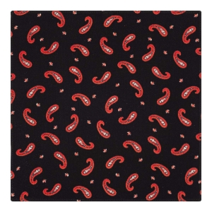 poszetka bawełniana em mens accessories paisley