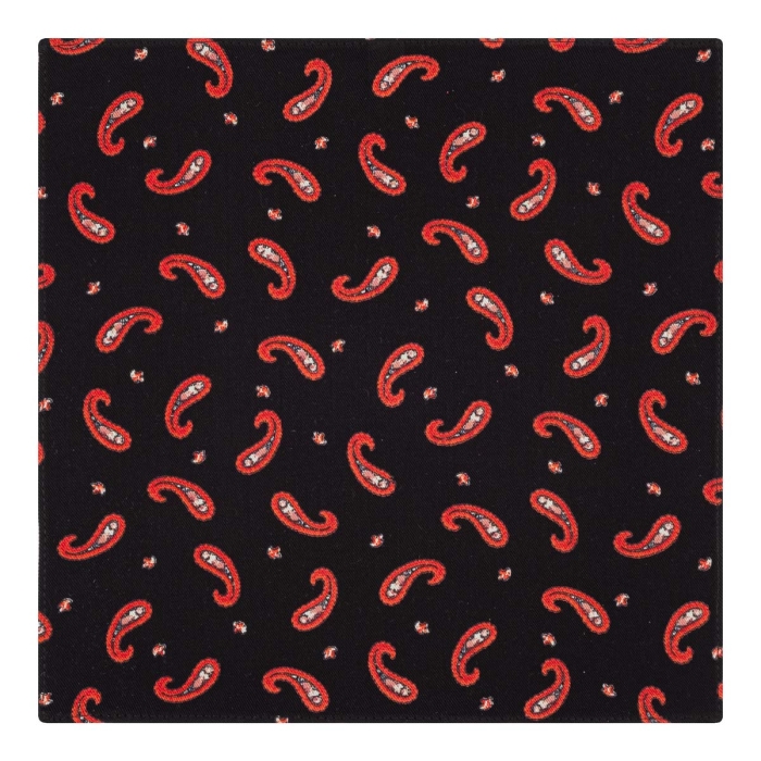 poszetka bawełniana em mens accessories paisley