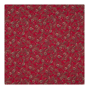 poszetka bawełniana em mens accessories paisley