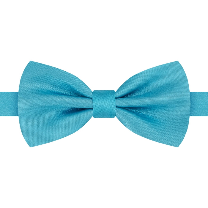 Mucha niebieska połyskująca