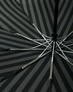 żebra  parachase em mens accessories parasol premium