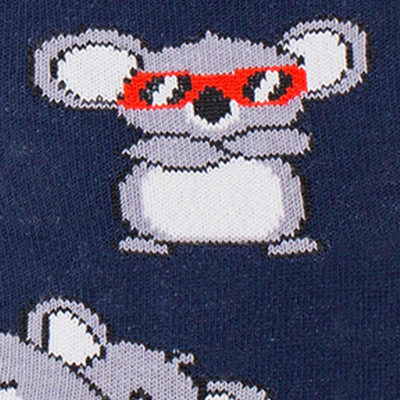 Skarpety kolorowe - niebieskie - koala