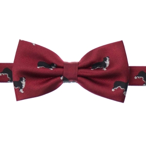 Zestaw prezentowy dla mężczyzny w kolorze bordowym w border collie: mucha + poszetka zapakowane w pudełko EM