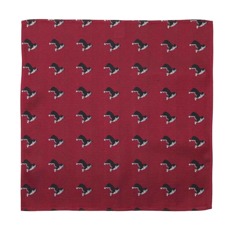 Zestaw prezentowy dla mężczyzny w kolorze bordowym w border collie: mucha + poszetka zapakowane w pudełko EM