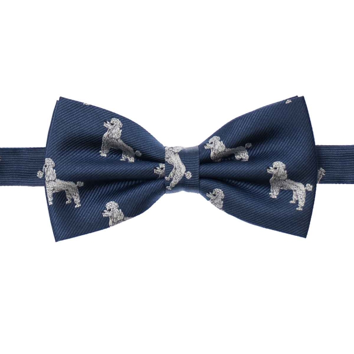 Mucha granatowa w pudle