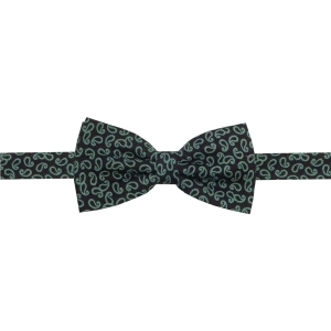 Zestaw prezentowy dla mężczyzny w kolorze zielonym w paisley: mucha + poszetka zapakowane w pudełko EM