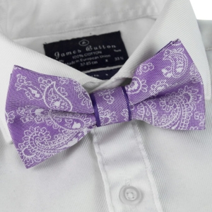 Mucha fioletowa paisley