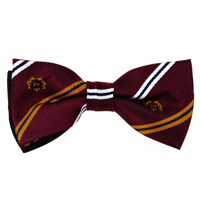 Mucha dziecięca junior bordowa herby