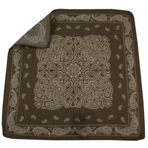 EM MEn's Accessories poszetka wełniana brązowa paisley.jpg