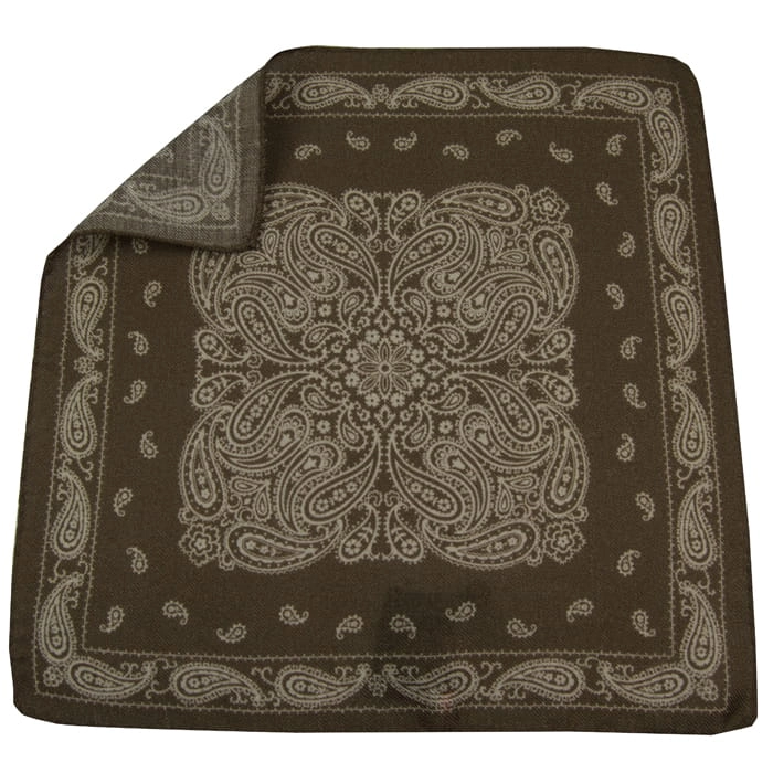 EM MEn's Accessories poszetka wełniana brązowa paisley.jpg
