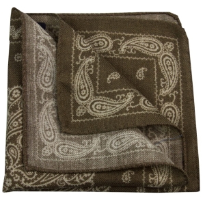 EM MEn's Accessories poszetka wełniana brązowa paisley.jpg